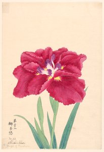 Gravure, La colère du lion (Shishi-Ikari), No. 22