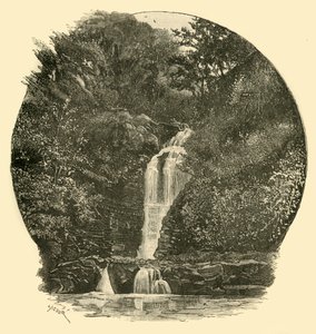 Chutes de Pyrddin, vallée de Neath, 1898 - Unbekannt