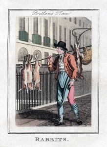 Lapins, Portland Place, Londres, 1805 - Unbekannt