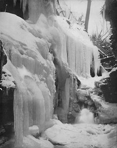 Chutes d