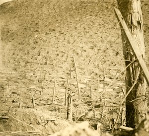 Ravin aux Éparges, nord de la France, vers 1914-1918 - Unbekannt