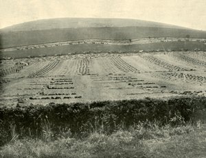 Concours de moissonneuses-lieuses, Mount Blowhard, près de Ballarat, 1901 - Unbekannt