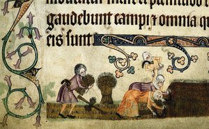 Moisson et liage des gerbes du Psautier de Luttrell, vers 1330 - Unbekannt