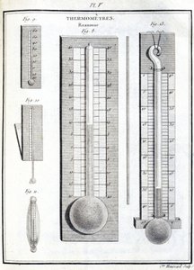 Thermomètres de Réaumur - Unbekannt