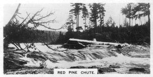 Chute de Pin Rouge, Canada, vers les années 1920 - Unbekannt