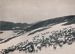 Rennes dans les montagnes, 1914 - Unbekannt