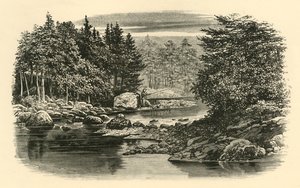Scène de rivière, Langdale, vers 1890