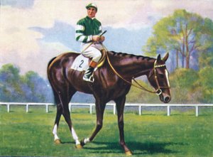 Rockfel, Jockey : H. Wragg, 1939 - Unbekannt