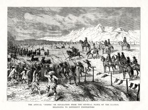 Rodéo, Amérique du Sud, 1877 - Unbekannt