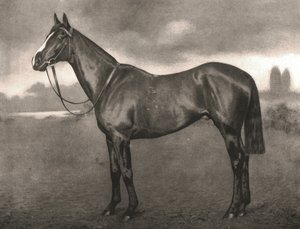 Ross, 1911 - Unbekannt