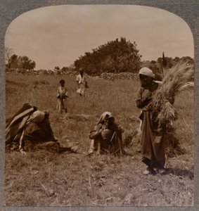 Ruth glanant dans les Champs de Booz, vers 1900 - Unbekannt