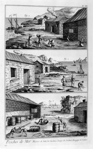 Salage, lavage, emballage des sardines, 1751-1777 - Unbekannt