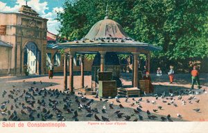 Salut de Constantinople - Pigeons au Cour d