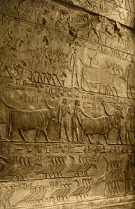 Saqqara - Tombe de Ptahotep - Décoration Murale, vers 1918-1939 - Unbekannt