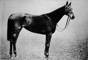 Sceptre, 1899-1926, 1911 - Unbekannt