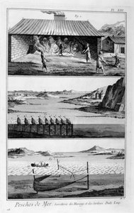 Pêche en mer, harengs et sardines, 1751-1777 - Unbekannt