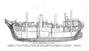 Section, montrant l