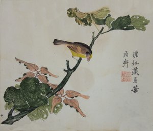 Graines et Aleurites Cordata : Page du Manuel du Jardin de la Graine de Moutarde, 1782, 2ème édition - Unbekannt