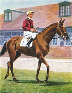 Señor, jockey : J. Crouch, 1939 - Unbekannt