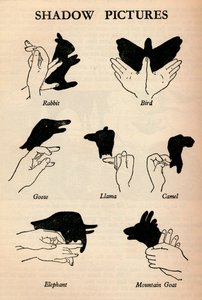 Images d