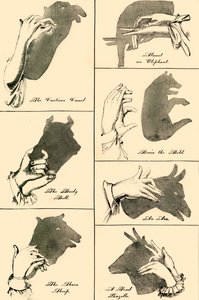 Ombres chinoises et silhouettes, 1883 - Unbekannt