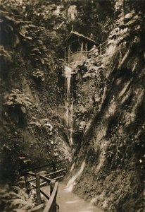 Shanklin Chine, I.W., vers 1920 - Unbekannt
