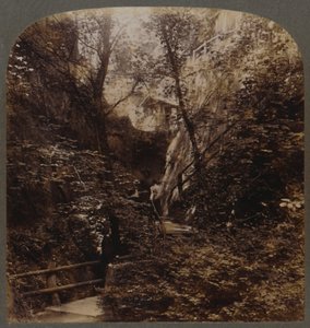 Shanklin Chine de renommée mondiale, Île de Wight, Angleterre, vers 1910