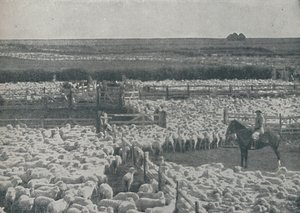 Bergeries en Australie, 1910 - Unbekannt