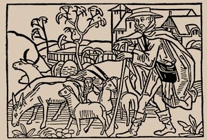 Berger. De Speculum Vitae Humanae par Rodericus Zamorensis, 1479