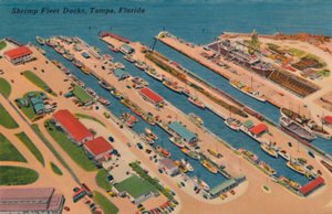 Docks de la flotte de crevettes, Tampa, Floride, années 1940
