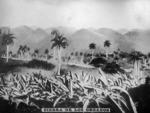 Sierra de los Organos, 1896, années 1920 - Unbekannt