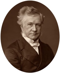 Sir Robert Lush, juge de la Haute Cour de justice, 1881 - Unbekannt