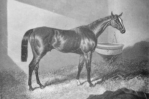 Sir Tatton Sykes, 1842-1860, 1911 - Unbekannt