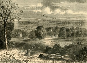 Site du Crystal Palace en 1852, vers 1878