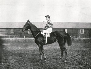 Gratte-ciel, 1911 - Unbekannt