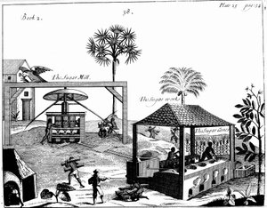 Travail des esclaves dans une plantation de sucre aux Antilles, 1725 - Unbekannt