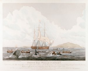 Pêche à la baleine dans les mers du Sud