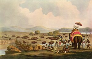 Sport en Inde - Conduite des éléphants dans un Keddah, vers 1808, 1901 - Unbekannt
