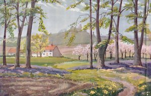 Printemps - Les changements physiques, chimiques et biologiques causés par le soleil au cours de l