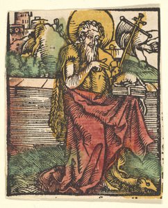 Saint Jean-Baptiste copie, après 1511 - Unbekannt