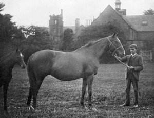 St Marguerite, cheval de course britannique, 1895 1938 - Unbekannt