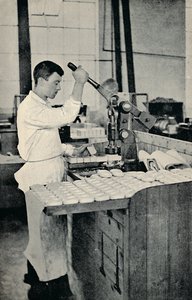 Blocs de savon estampés, vers 1917 - Unbekannt