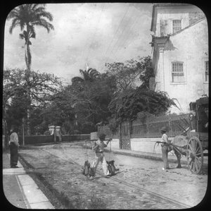 Scène de rue, Pernambuco, Brésil, fin du 19e ou début du 20e siècle