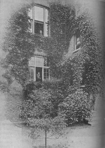 Été aux Pins, vers 1909, 1934 - Unbekannt