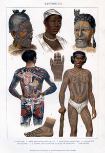 Tatouage, 1800-1900 - Unbekannt
