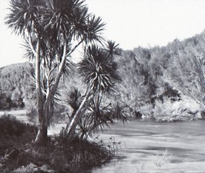 La rivière Te Waihou, Okoroire - Unbekannt