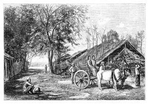 Tenasserim, Myanmar, 1895 - Unbekannt