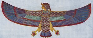 Le pectoral de l