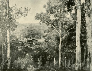 Les Montagnes Bleues, 1901