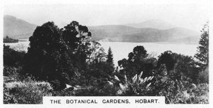Les jardins botaniques, Hobart, Tasmanie, 1928